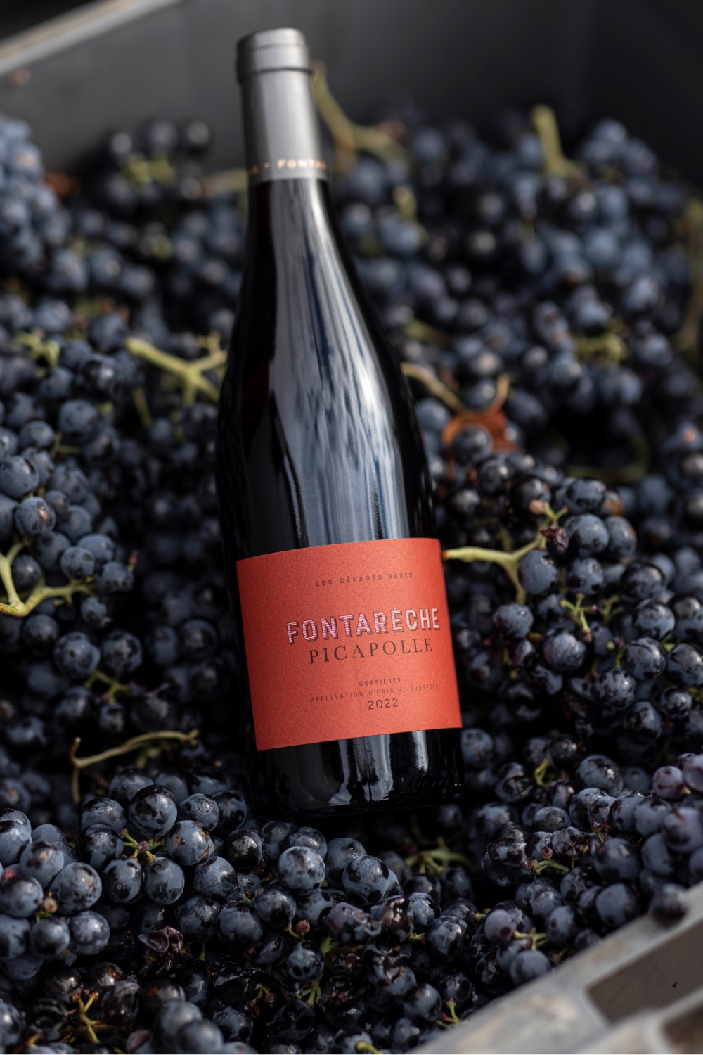 Wijngaarden Château Fontarèche